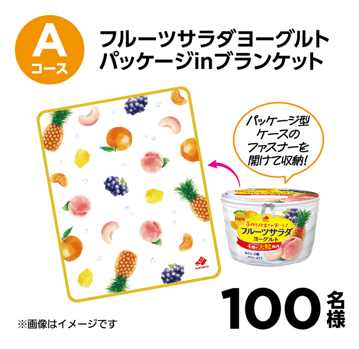 Aコース フルーツサラダヨーグルト パッケージinブランケット 100名様